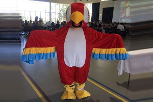 Our Lady of Lourdes Catholic Primary School Earlwood - mascot dressed as a bird